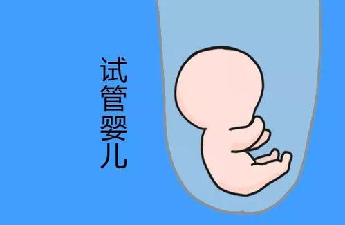 林教授